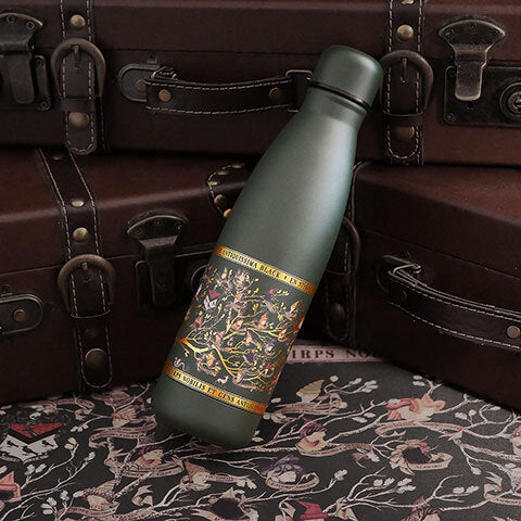 Harry Potter Trinkflasche Black Family 500ml
